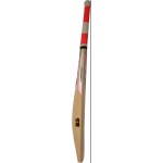 RS Robinson 20-20 English Willow Cricket Bat (SH)